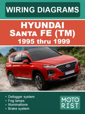 Цветные электросхемы Hyundai Santa Fe (TM) с 2019 по 2021 год